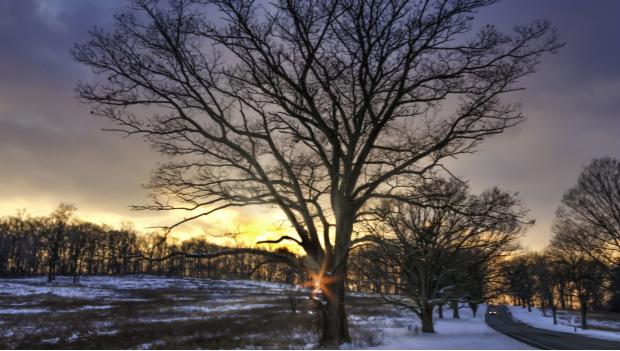 valley forge